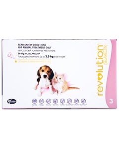 Revolution Pink For Puppies & Kittens