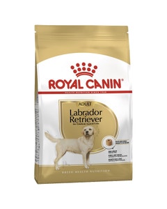 Royal Canin Labrador Dog Food