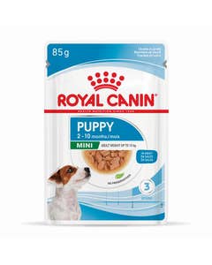 Royal Canin Mini Breed Junior Puppy Pouch 85gx12