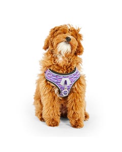 Pup Crew Pro Reflex Trainer Dog Harness Purple