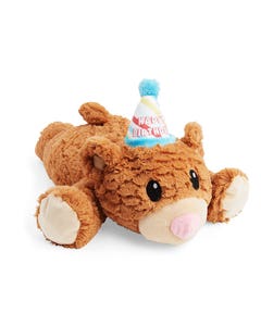 All Day Birthday Snuggle Bear Dog Toy Brown L