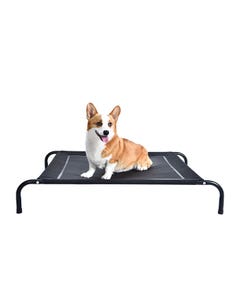 All Day Rio Raised Dog Bed