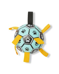 All Day Tagged Soccer Ball Dog Toy Blue