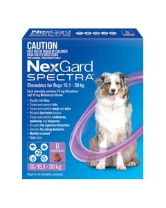 NexGard Spectra 30kg Dog Flea Tick & Worm Chew 6PK x 2