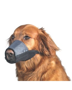 All Day Nylon Dog Muzzle