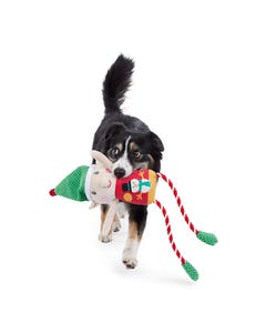 All Day Christmas Elf Long Legs Dog Toy M
