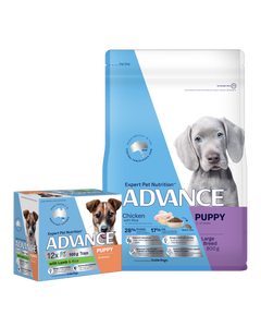 Advance Large Breed Bundle | Chicken Puppy Food 3kg &  Lamb Wet Puppy Food 100g x 12