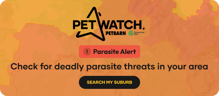 Pet Watch Offer